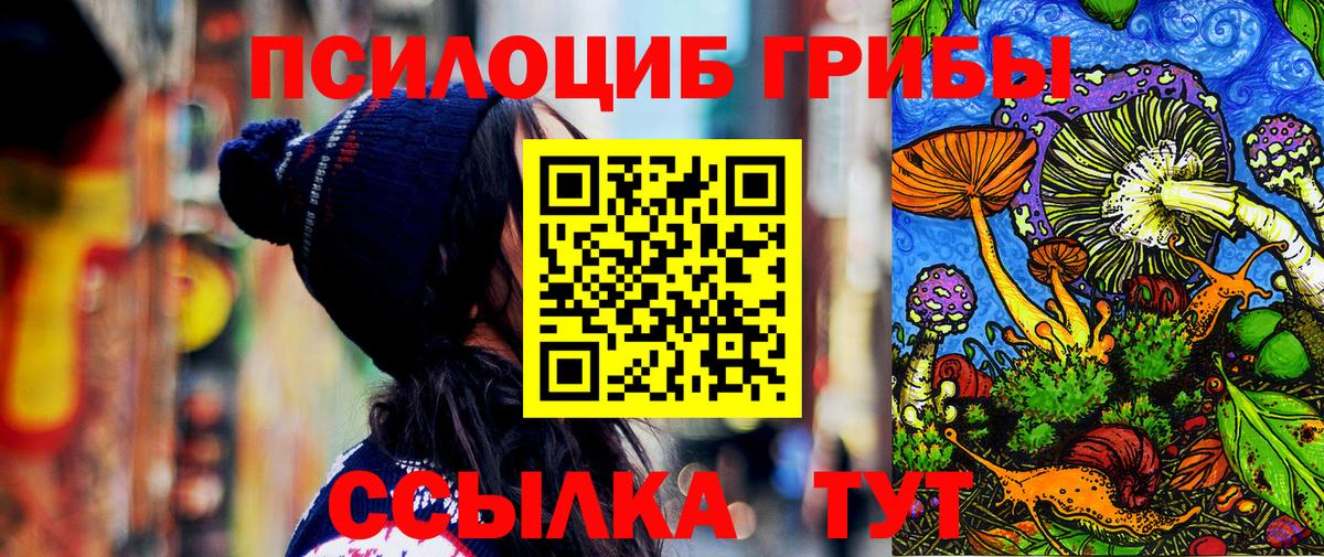 Псилоцибиновые грибы Psilocybine cubensis Новоуральск