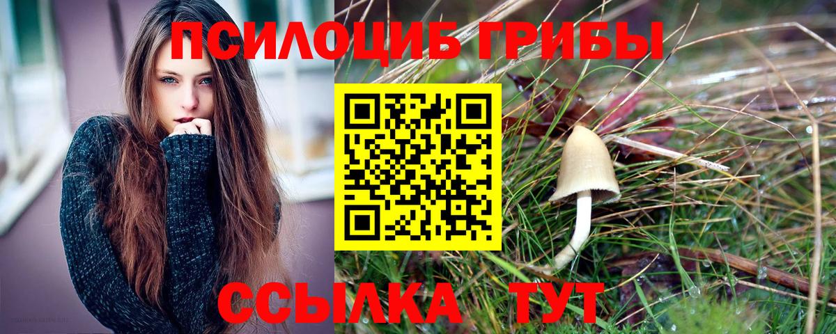 Псилоцибиновые грибы GOLDEN TEACHER  Псилоцибиновые грибы прущие грибы  Новоуральск  Вход с VPN 